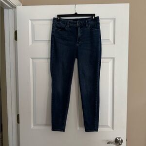 Talbots Dark Indigo Skinny Jeans